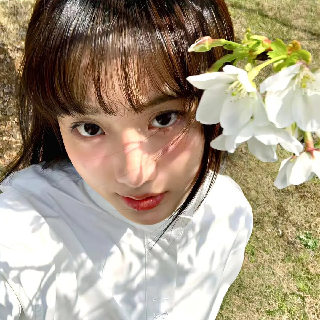 母女菀 封面
